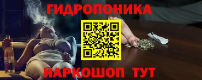 индика Рязань